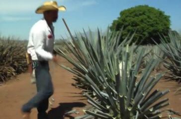 The World by Road: Tequila Town, Mexiko.