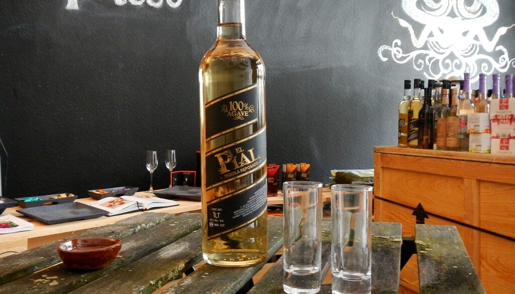 Tequila El Pial mit 2 Tequila Gläsern Gratis