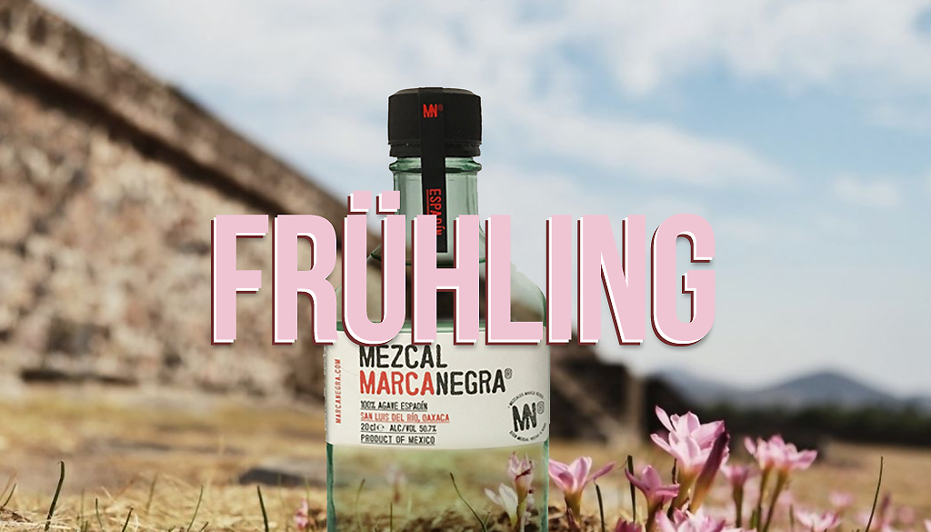 mezcal marca negra