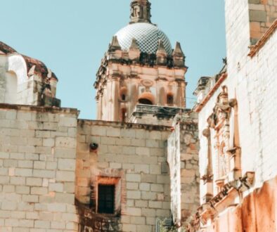 Mezcal der große Bruder vom Tequila