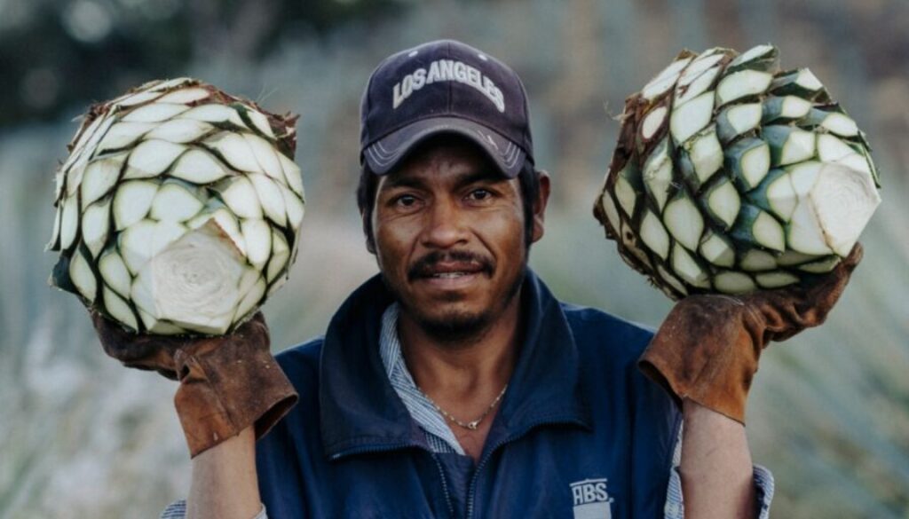 Madrugada Tequila